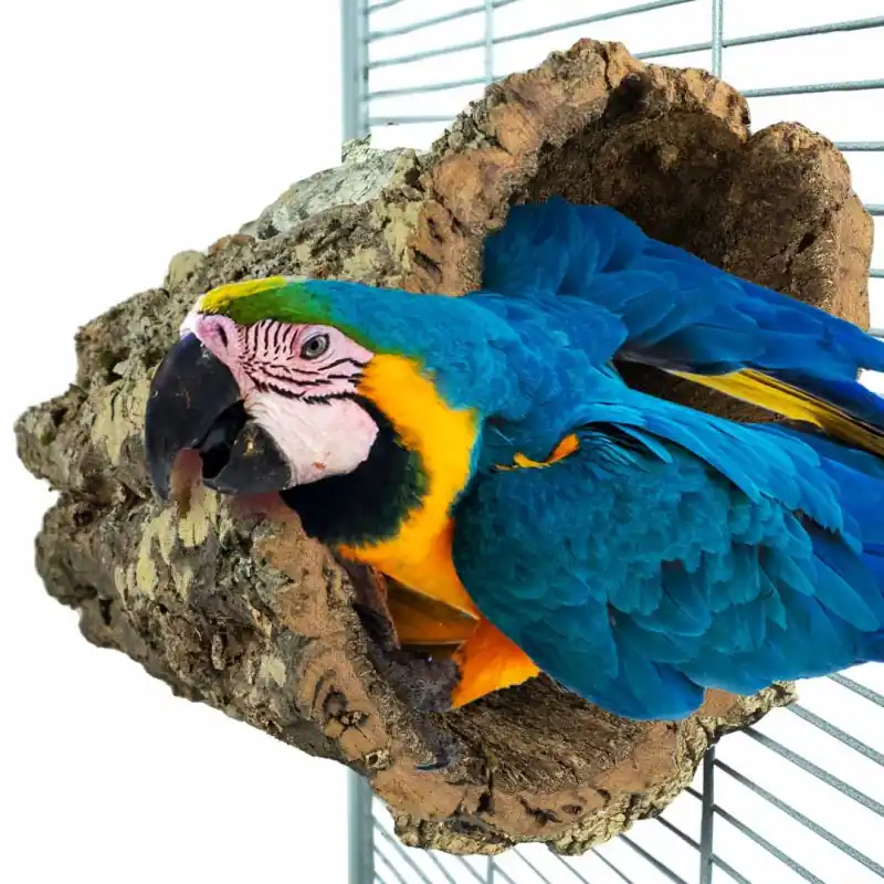 Back Zoo Nature TrunkHut Large Koop Vandaag