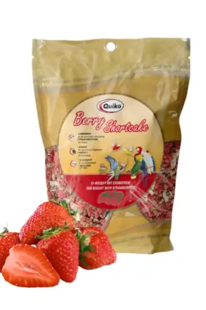 Quiko Strawberry Shortcake Kruimels Bestel Nu