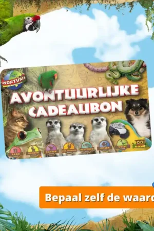 Avonturia Kadobon Cadeaubon BEPAAL ZELF DE WAARDE Snelle Levering