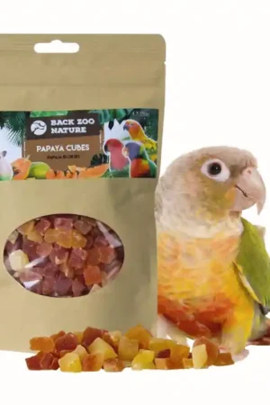 Speciale Aanbieding Back Zoo Nature Papaja Blokjes 250 gram