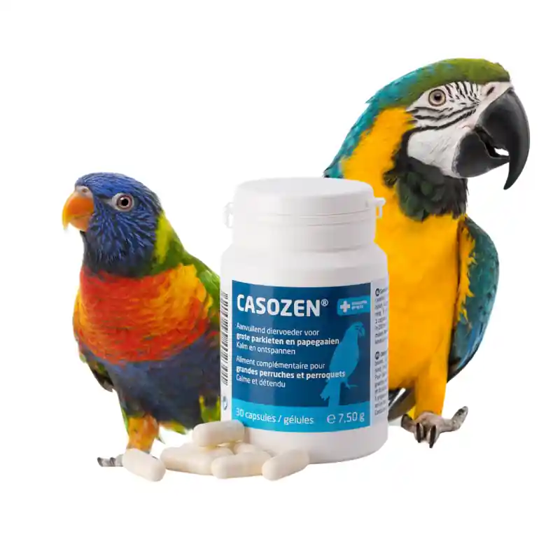 Bestseller Casozen - Antistress- en verenplukmiddel voor Grote Parkieten en Papegaaien
