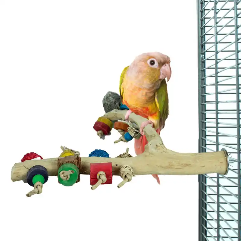Betrouwbaar Back Zoo Nature Java Play Perch Medium
