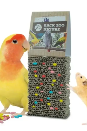 Express Levering Back Zoo Nature Cardboard Treat Block