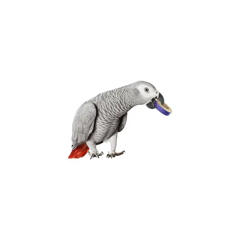 Super Bird Creations Chunkie Bagels Weekendaanbieding