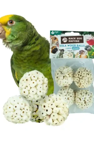 Back Zoo Nature Sola Wood Balls Large 4 Pack Lage Kosten