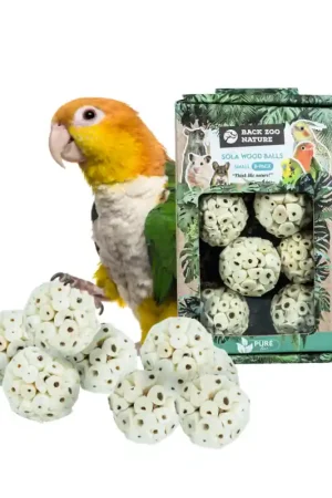Back Zoo Nature Sola Wood Balls Small 8 Pack Bestel Nu