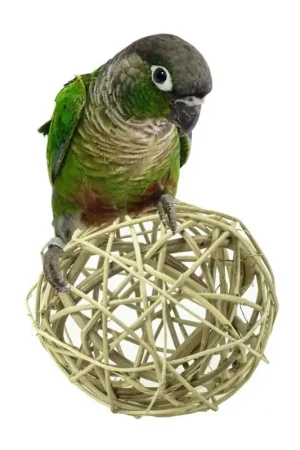 Beste Prijs Back Zoo Nature Gevlochten Speelbal Giant