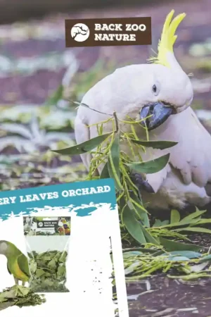 Back Zoo Nature Discovery Leaves Orchard Finale Uitverkoop