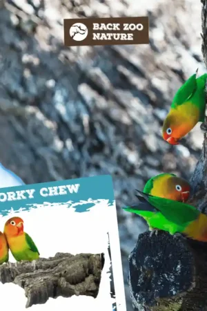 Back Zoo Nature Corky Chew Small Shop Nu