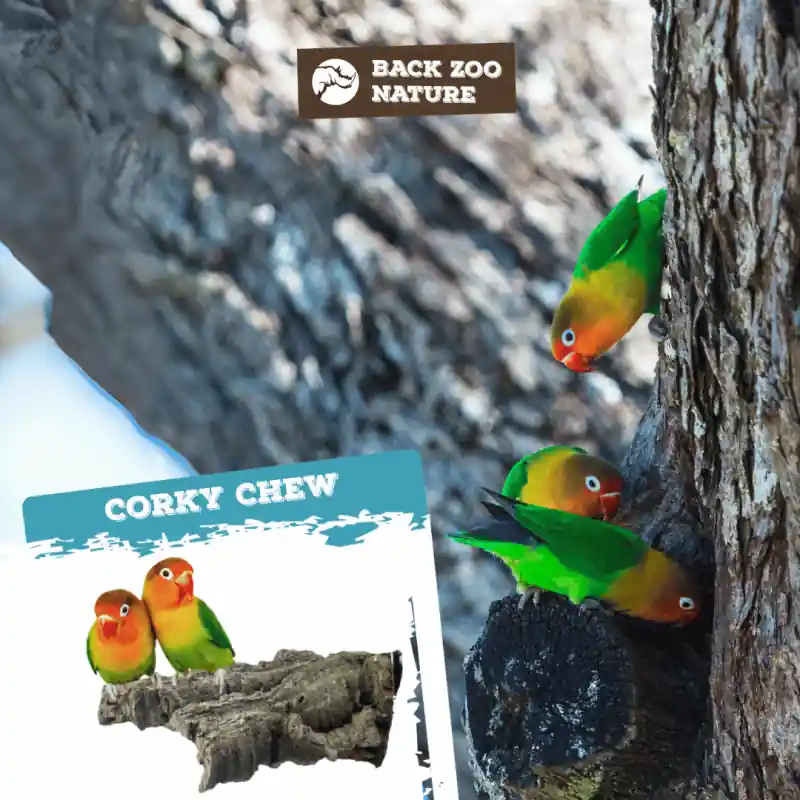 Back Zoo Nature Corky Chew Small Shop Nu