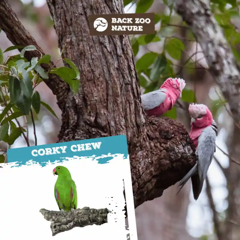 Back Zoo Nature Corky Chew Large Laatste Kans