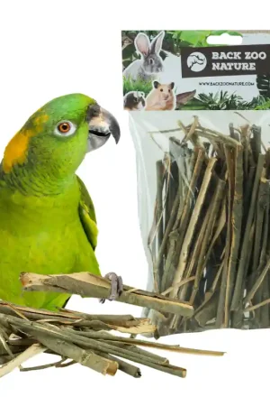Back Zoo Nature Willow Bark Koop Vandaag