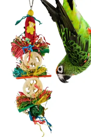 Petlala Stacked Loofah Tower Lage Kosten