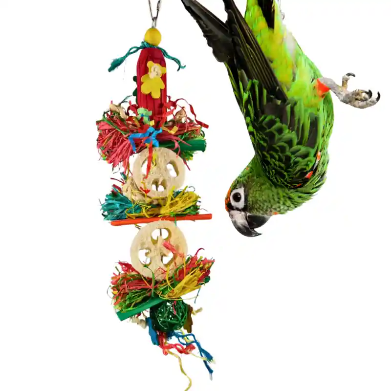 Petlala Stacked Loofah Tower Lage Kosten