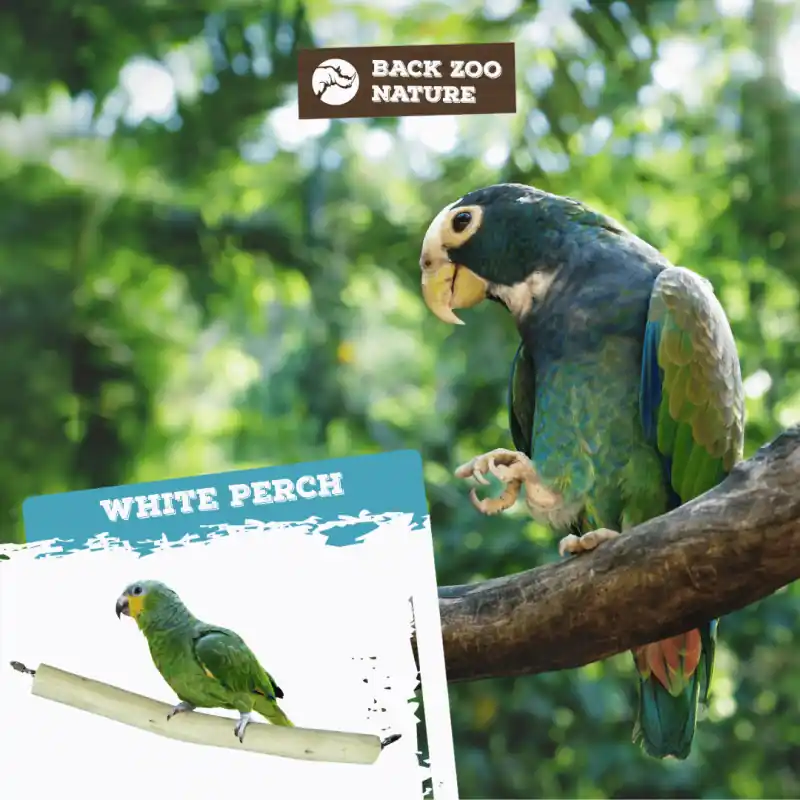 Nieuw Back Zoo Nature Teak Perch 50cm
