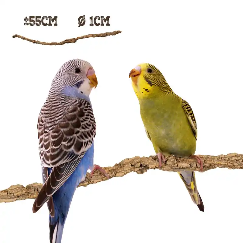 Back Zoo Nature Corky Liana 50 cm x 2-3 cm Seizoensaanbieding