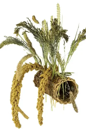 Back Zoo Nature Willow Tunnel Weekendaanbieding