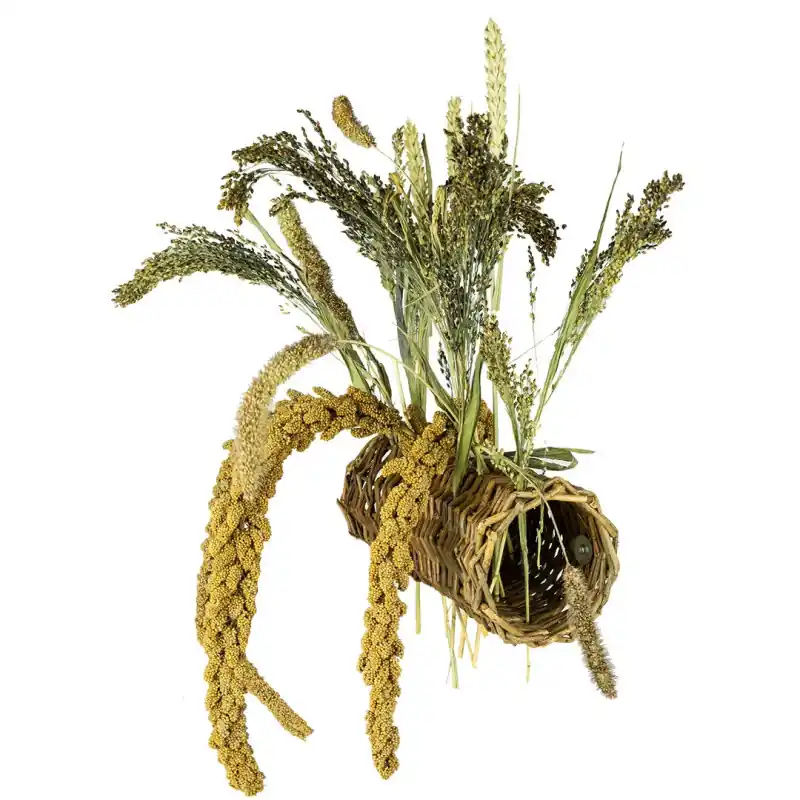Back Zoo Nature Willow Tunnel Weekendaanbieding