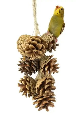 Back Zoo Nature Pine Cone Garland Veilige Betaling