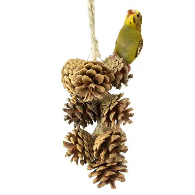 Back Zoo Nature Pine Cone Garland Veilige Betaling