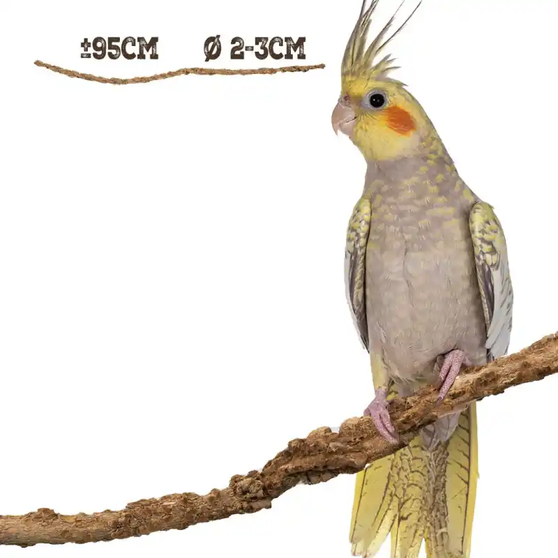 Back Zoo Nature Corky Liana 95 cm x 2-3 cm Tijdelijk Beschikbaar