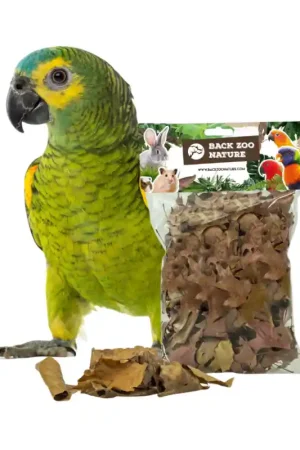 Back Zoo Nature Discovery Leaves Speciale Aanbieding