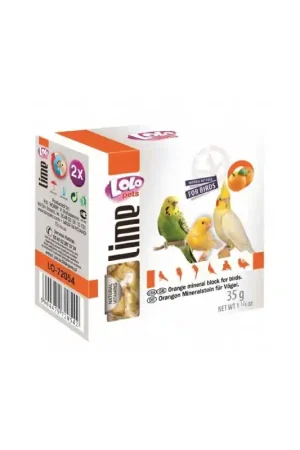 Lolo Pets Mineraalblok Small - Sinaasappel 2 stuks voor vogels Actieprijs