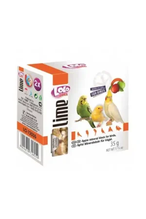 Favoriet Lolo Pets Mineraalblok Small - Appel 2 stuks voor vogels