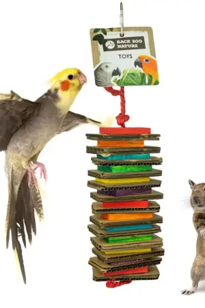 Back Zoo Nature Shredding Slices Medium Betaalbaar