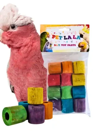 Shop Nu Petlala Wooden Cylinders 3 cm 12stuks - DIY Bird Toy Parts