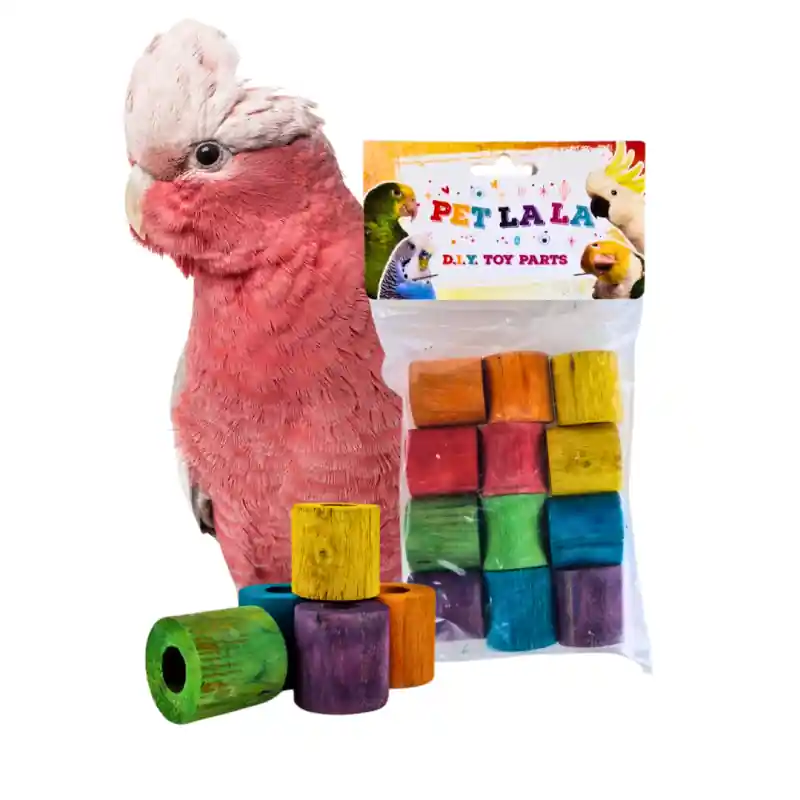 Shop Nu Petlala Wooden Cylinders 3 cm 12stuks - DIY Bird Toy Parts