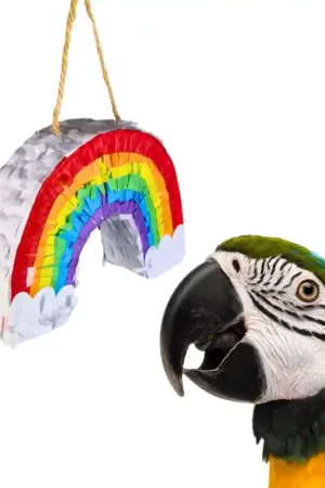 Petlala Pinata Rainbow Koop Online