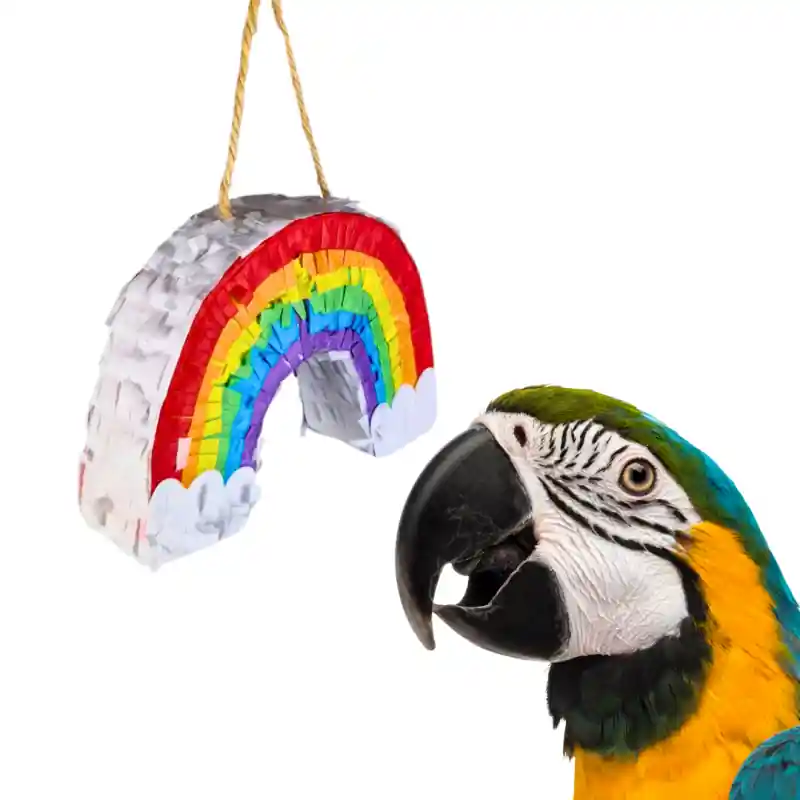 Petlala Pinata Rainbow Koop Online