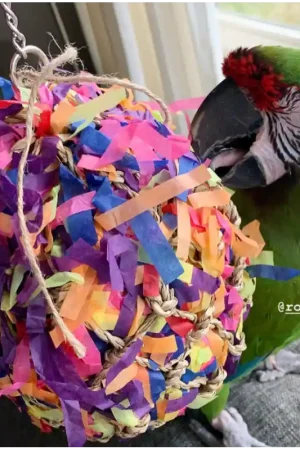 Back Zoo Nature Super Shredding Ball Large Express Levering