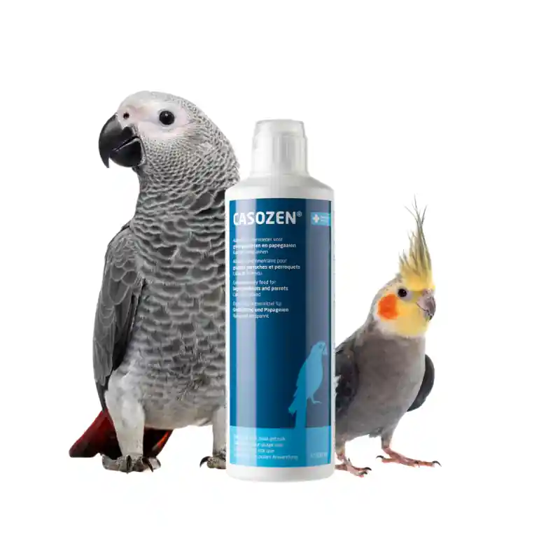 Casozen Vloeibaar 500ml - Antistress- en verenplukmiddel voor Grote Parkieten en Papegaaien Beperkte Voorraad