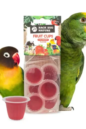 Voordeelprijs Back Zoo Nature Fruitkuipjes Aardbei