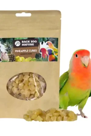 Back Zoo Nature Ananas Blokjes 250 gram Koopje