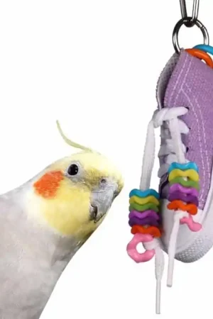 Super Bird Creations Beaker Sneaker Finale Uitverkoop