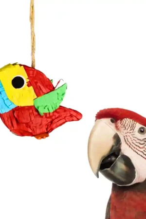 Hoge Kwaliteit Petlala Pinata Bird