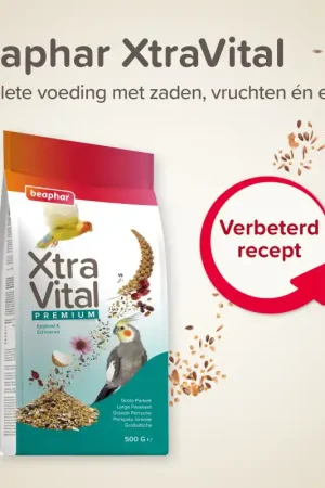 Alleen Vandaag Beaphar XtraVital Grote Parkiet 500g