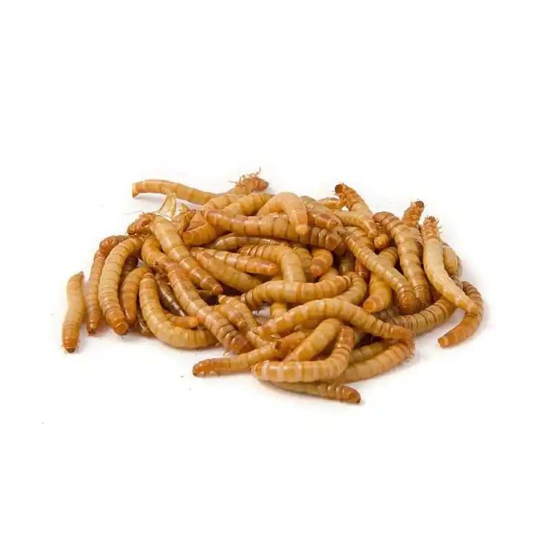 Shop Nu Meelwormen 250 gram