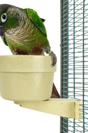 Nieuw Back Zoo Nature Easy-Lock Feeding Bowl