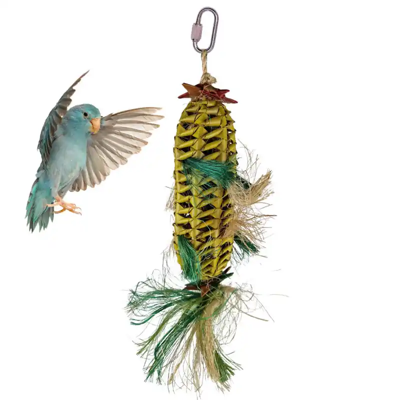 Back Zoo Nature Napa Vogelspeelgoed - Melon Pinata Small Alleen Vandaag