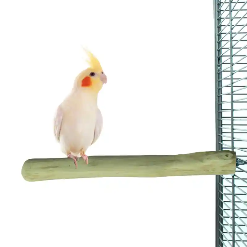 Back Zoo Nature Java Single Perch Medium Merkproduct