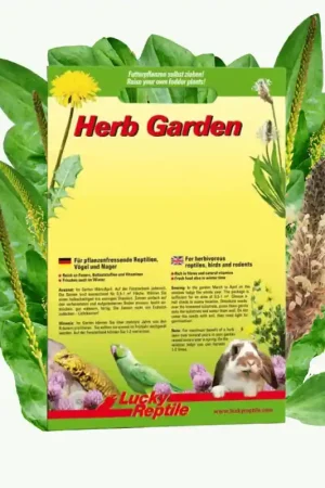 Lucky Reptile Herb Garden - Ribwort (Smalle weegbree) Gecertificeerd