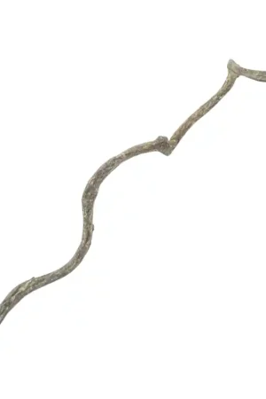 Back Zoo Nature Liaan Curly Vine ca. 60x1-2 cm Shop Nu