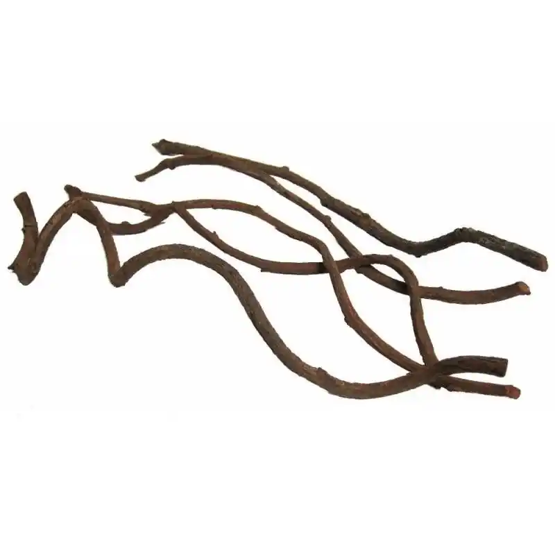 Hoge Kwaliteit Back Zoo Nature Liaan Curly Vine ca. 60x2-5 cm
