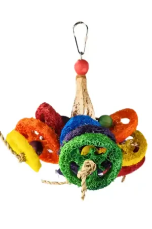 Superprijs Back Zoo Nature Loofah Nut
