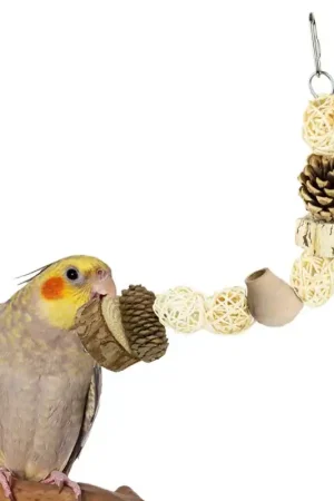 Snelle Levering Back Zoo Nature Chew Tower