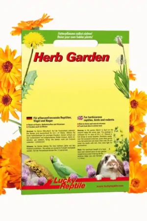 Lucky Reptile Herb Garden - Calendula (Goudsbloem) Superprijs